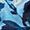 Placid Blue
